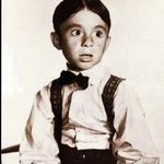 DAVID MECHANIC - @dbmala - Instagram