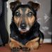 David Medhurst - Facebook