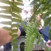 davidmefferd - @davidmefferd - TikTok