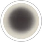 David Meilleur - @davidmeilleurs - Instagram