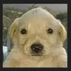 David_me_is - @tronchatoro911 - TikTok