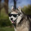 David Meis - @davidmeis6 - TikTok