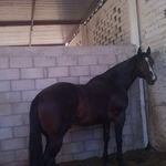 david melendrez - @david_melendrez2 - Instagram