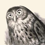 David Melling - @davidmelling_illustrator - Instagram