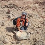 David Melling - @melling337 - Instagram