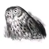 davidmelling_illustrator - @davidmelling_illustrator - TikTok