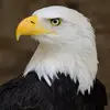 davidmenninga - @davidmenninga - TikTok