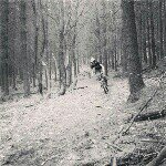 David menzel - @david_menzel - Instagram