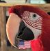 David Merriam - Facebook