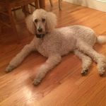 David Merriam - @merriamdavid - Instagram