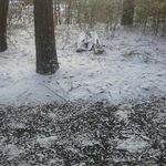 David Meserve - @meservedavid - Instagram