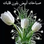 المحبه لجميع - @david.mesheal - Instagram