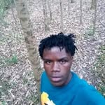@davidmesh - Instagram