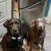 David Messerly - Facebook