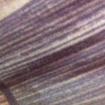 David Messerschmidt - @blau_baer2003 - Instagram