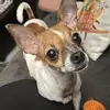 David Messner - @david.messner4 - TikTok