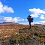 David Meyer - @wild.nature.sights_photography - Instagram