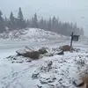David Meyer - @david.meyer01 - TikTok
