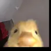 davidmichalik - @my.hero.academia.lol - TikTok