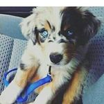 David Millinghaus - @davidmillinghaus - Instagram