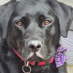 David Millington - @david.millington.54 - Instagram