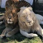 David Millot - @dmillot607 - Instagram