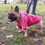 David Minetti - @david.minetti.5 - Instagram