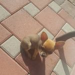XrockyX - @david.minich - Instagram