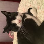 Bradleyelsley - @davidminion_1234 - Instagram