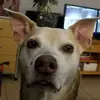 David Minnich - @david.minnich4 - TikTok