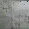 david minter - @david.minter - TikTok