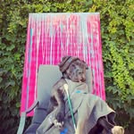 David Mintz - @davidrobertmintz - Instagram