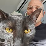 David Mintz - @bad_dog_mintz - Instagram