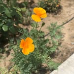David Mires - @david9533455 - Instagram