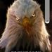 David Mitchell - Facebook