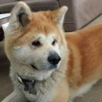 David Miyakawa - @davidmiyakawa - Instagram
