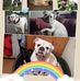David Mohrmann - Facebook