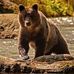 David Mok - Facebook