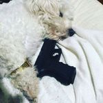David Moldovan - @david.moldovannn - Instagram