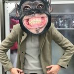 David Mole - @whollymoley - Instagram