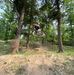 David Moll - Facebook