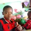 David Mollel - @david.mollel6 - TikTok