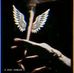 David Molla - Facebook