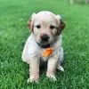 David Moller - @david.moller - TikTok