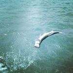 David Moloney - @gratefuldavemoloney - Instagram