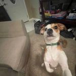David Moloney - @davidmoloney17 - Instagram