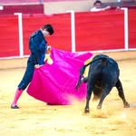 davidmonroy - @davidmonroy61 - Instagram