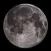 David Moon - @davidmoon9 - TikTok