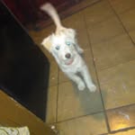 david morado jr - @davidjrmorado03 - Instagram