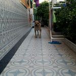 David Morano - @dmoranolopez - Instagram